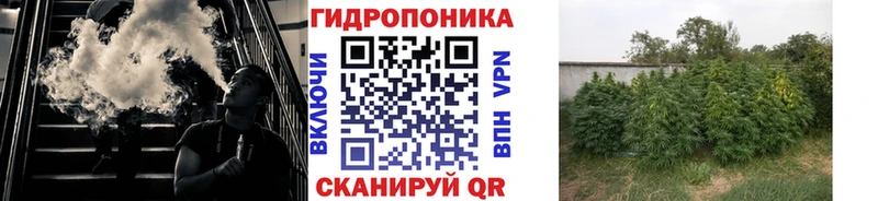 БУТИРАТ Свободный