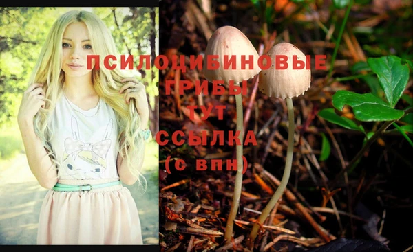 хмурый Ступино