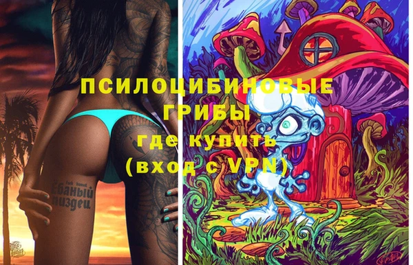 бошки Богородицк