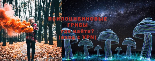 бошки Богородицк