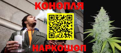 прущие грибы Мариинск