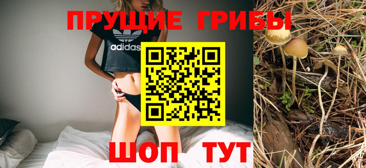 купить наркоту  Вход с VPN  Свободный  Галлюциногенные грибы прущие грибы 