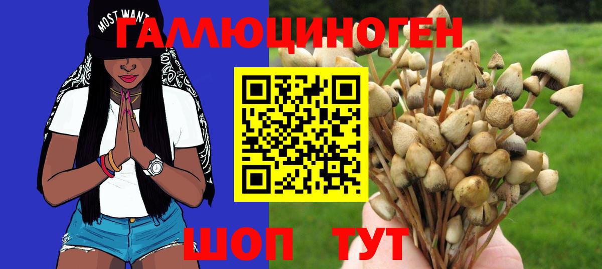 Псилоцибиновые грибы MAGIC MUSHROOMS Свободный
