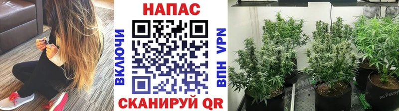 Канабис THC 21% Свободный